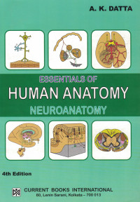 Image of Essentials of Human Anatomy : Neuroanatomy (Vol 4)